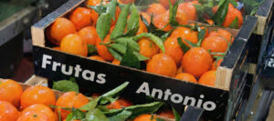 Clemenvillas de Murcia (mandarina Nova) en caja de Grupo Frutas Antonio