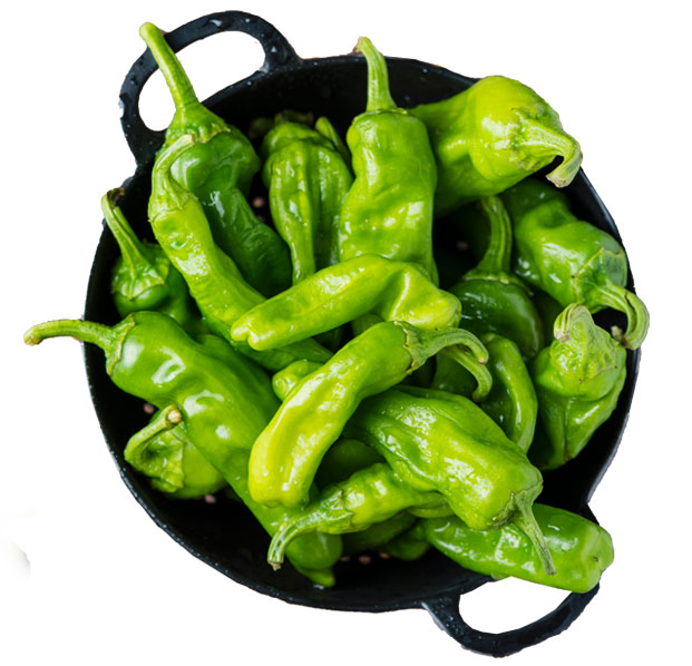 pimiento_italiano.jpg