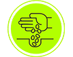 plantacion.png