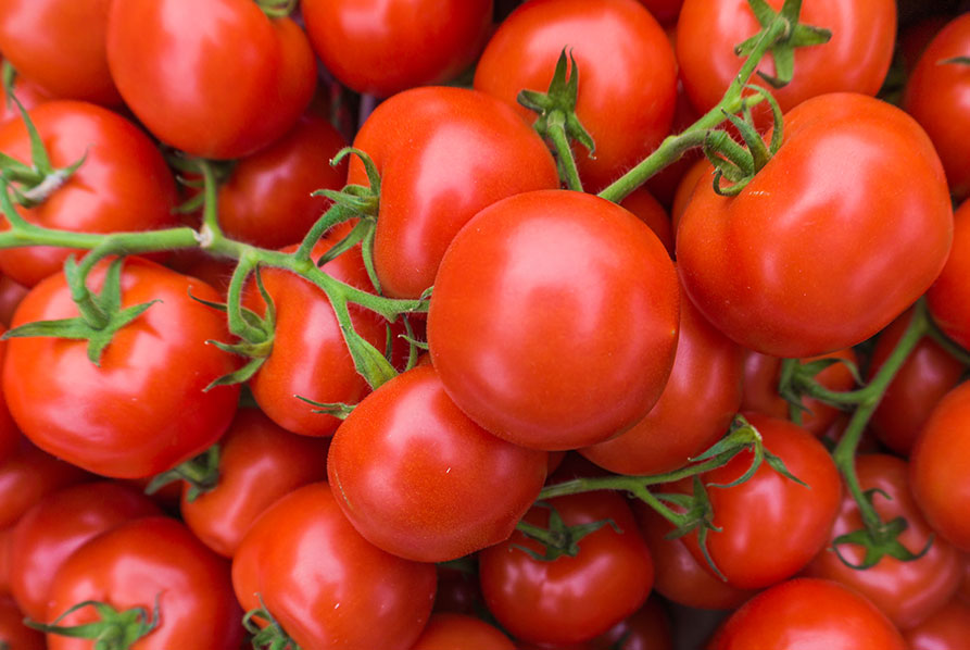 tomates_grande.jpg