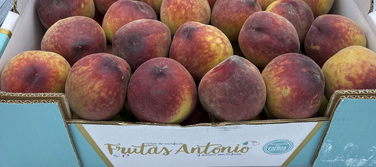 Inicio de la temporada de fruta de hueso en Múnich