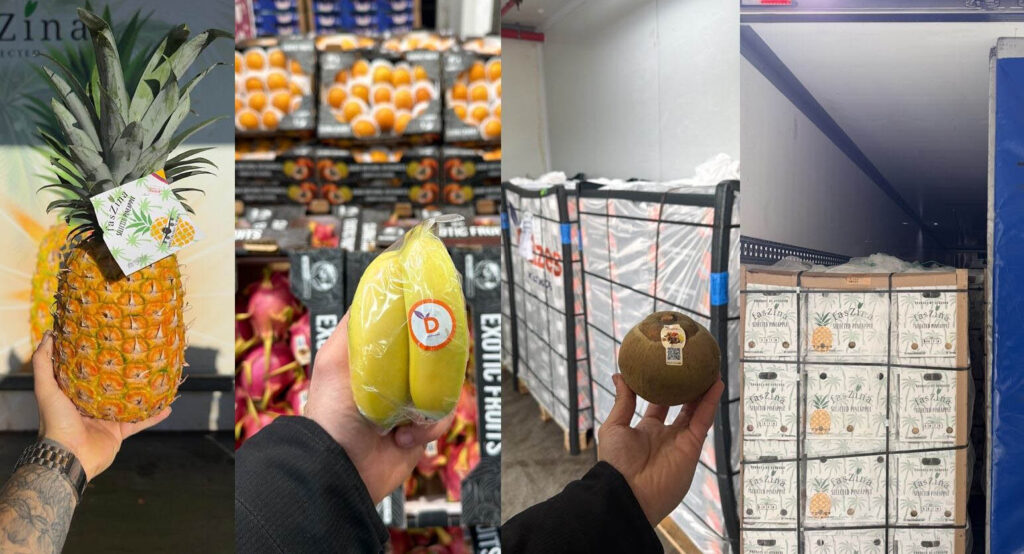 Productos ecuatorianos de Faszina Selected con piña, fruta exótica y carga preparada para distribución profesional